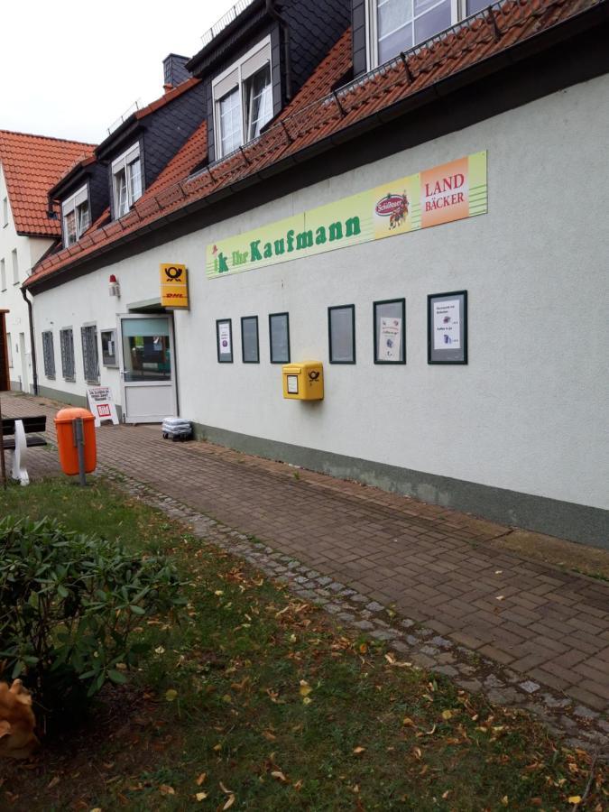 Wildholz Sachsen Lägenhet Weidenhain Exteriör bild